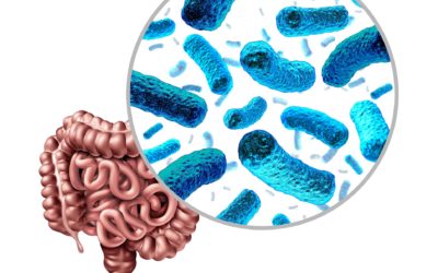 CARDIOLOGÍA: LA MICROBIOTA JUEGA UN PAPEL FUNDAMENTAL EN LA SALUD DE LA PERSONA